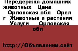 Передержка домашних животных › Цена ­ 100-300 - Орловская обл., Орел г. Животные и растения » Услуги   . Орловская обл.